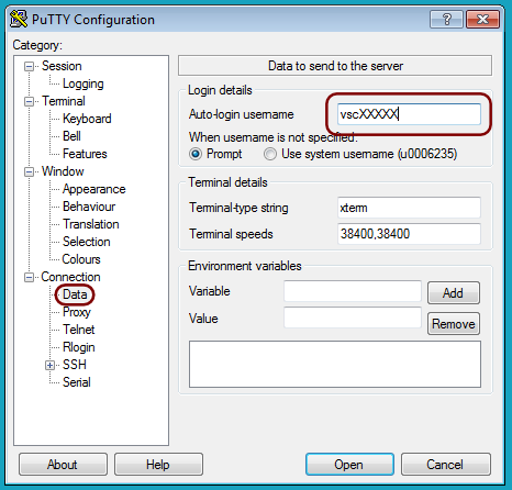 ../../_images/putty_data_section.png